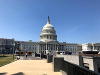 IMG_0852